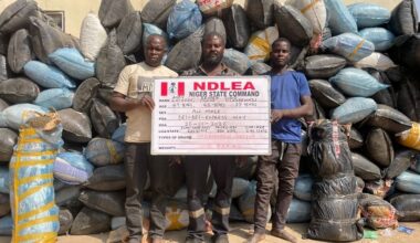 NDLEA intercepts Brazil returnee with cocaine concealed in genitals