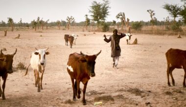 Fighting in Nigeria Leaves Christian Converts Exiled