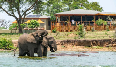 Yahoo lifestyle home