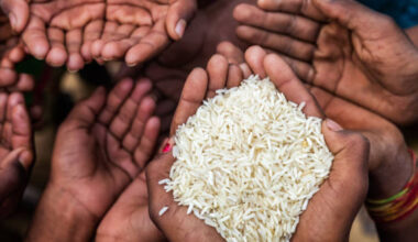 Food-rich Iringa grapples with high child stunting rates