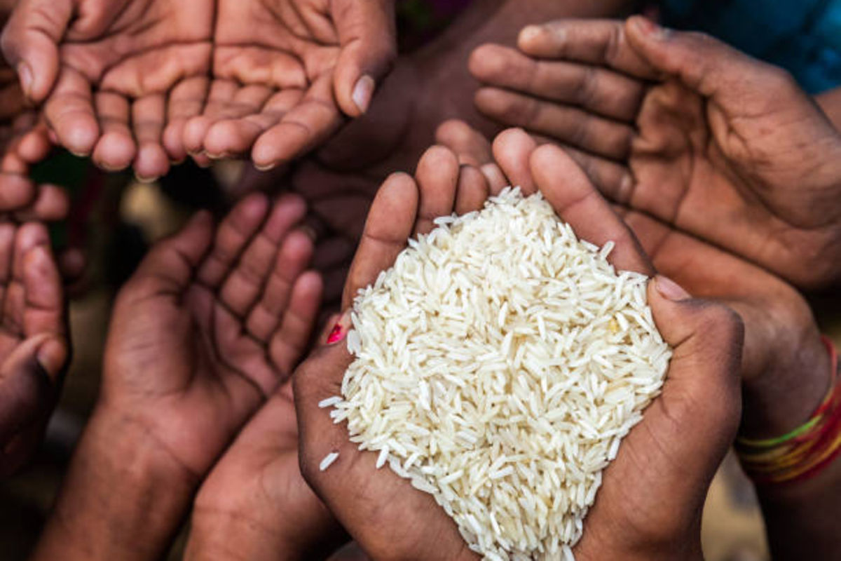 Food-rich Iringa grapples with high child stunting rates