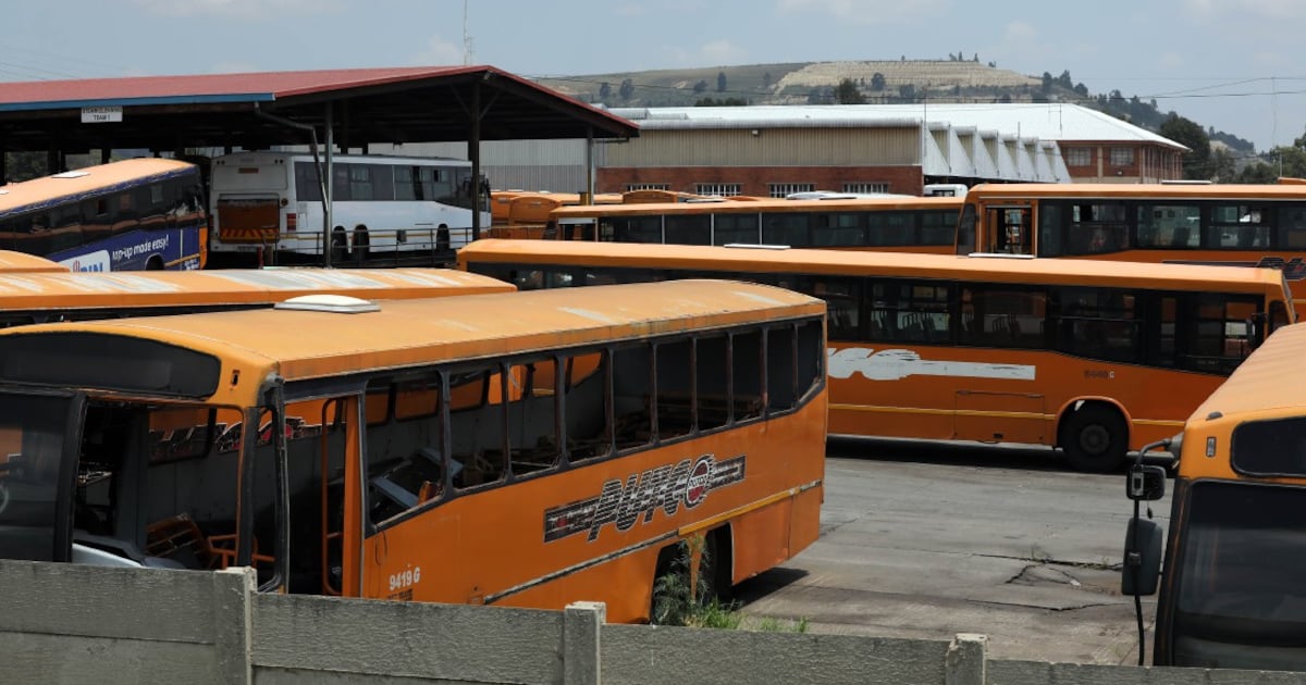 Gauteng ordered to pay Putco R154m over unpaid bus subsidies
