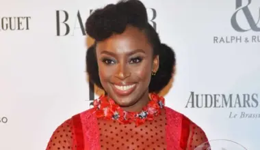 Chimamanda Adichie accuses Lagos hospital of cover-up in son’s death