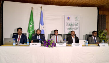 Somalia, IGAD discuss roadmap for regional mobility and single visa plan