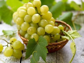 Namibia Wins Access to China's Market for Table Grape Exports