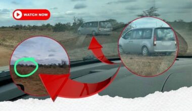 The silver Hyundai Staria flagged by KNP protection services following the incident. Insert: The green circle indicates where the Staria came to a stop. Photos: Supplied/Ivana Hepburn
