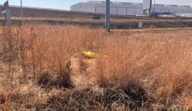 Body of missing Itumeleng Kekana found near Pomona informal settlement