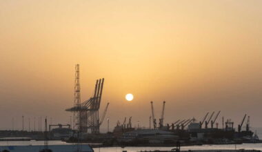 Les Émirats arabes unis grignotent l'Afrique, port après port