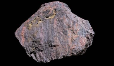 An irregularly shaped meterorite with a textured surface in various shades of gray, purple, and hints of gold.