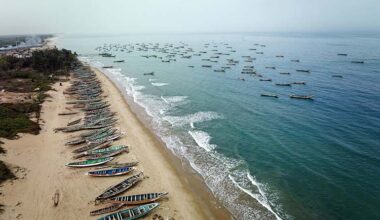 Is the tide turning on industrial fishing in West Africa?
