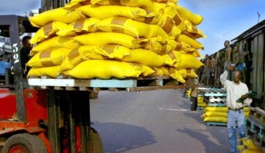 L’Afrique devrait importer 20 millions de tonnes de riz: voici les 10 pays les plus dépendants de l’étranger