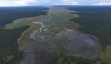 Angola’s peatlands highly underestimated, new study suggests