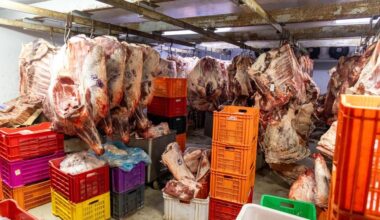 Johannesburg butchery shut down over serious labour and health violations
