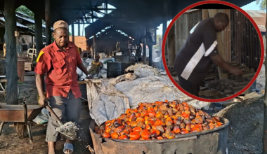 Beyond Palm Oil: How a Kigoma Farmer Is Turning Palm Waste into Clean Energy and Jobs