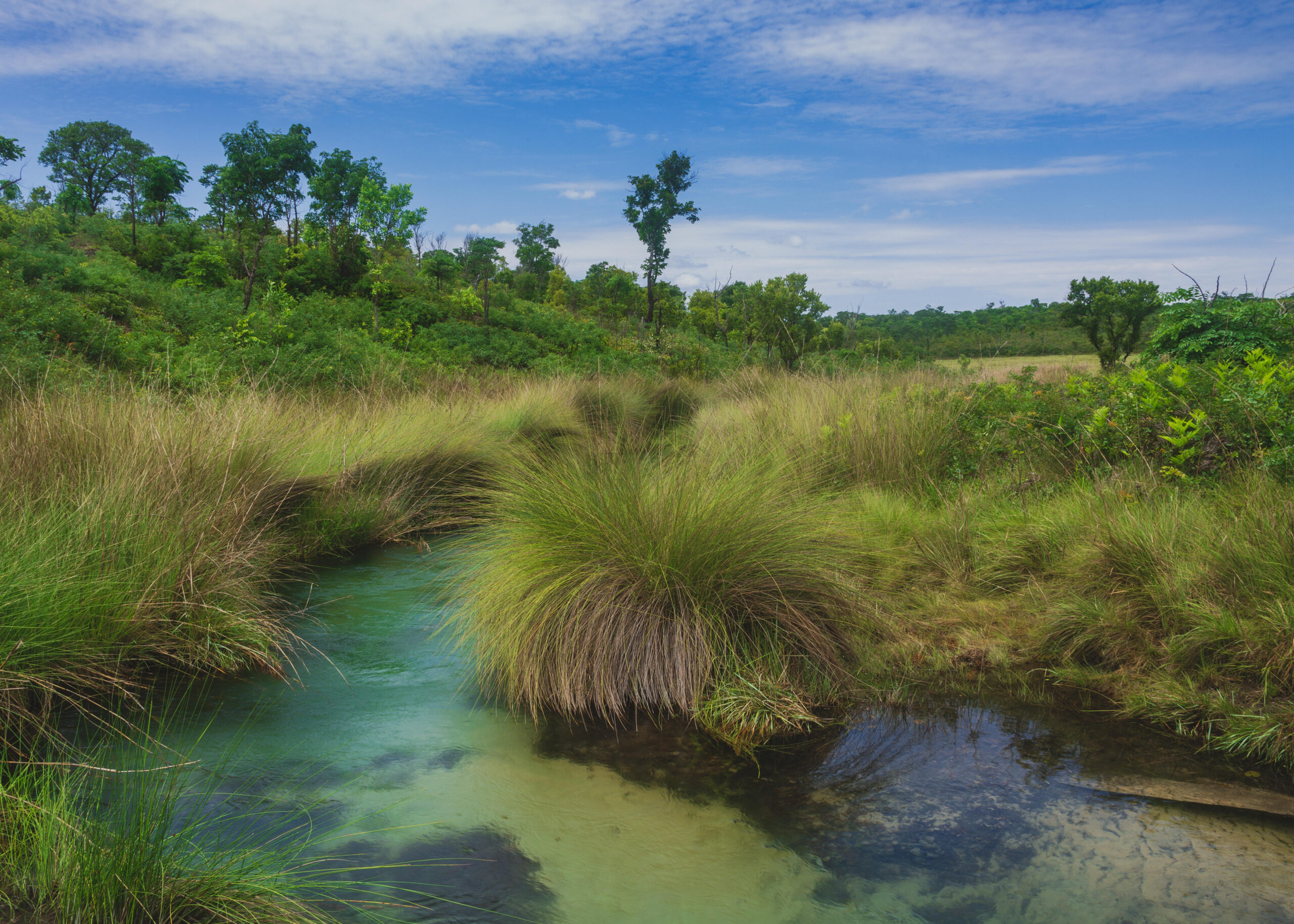The Tchansengwa Source Lake is located in the Angolan Highlands Water Tower, which is part of vital peatlands and wetlands that feed major regional river systems. Image courtesy of Paulo Perestrelo/National Geographic.