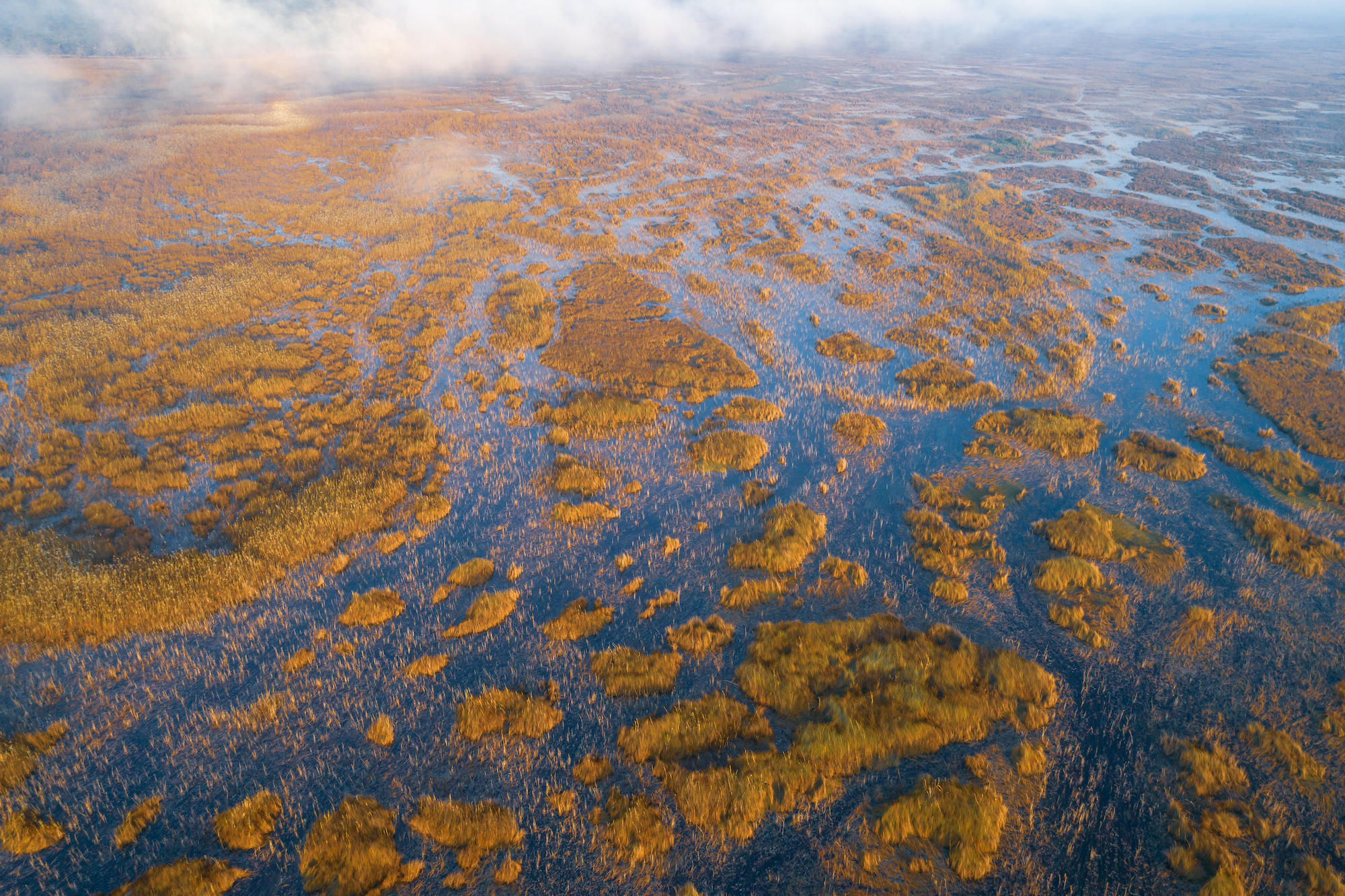 Aerial view of the mokoros on the shore of the Cuando River at sunrise taken during The Okavango Wilderness Project’s 2018 expedition. Image courtesy of Kostadin Luchansky for National Geographic.