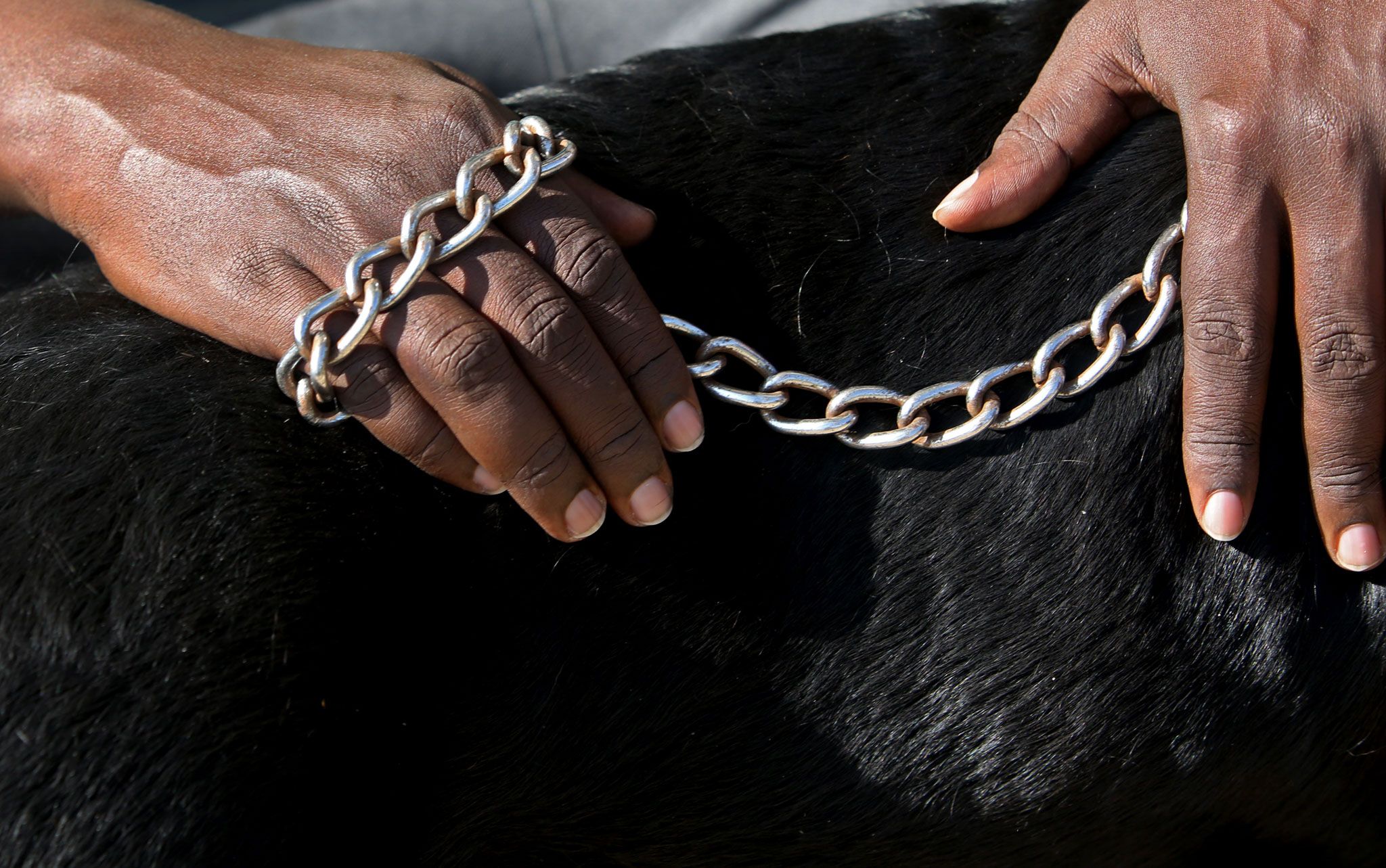 https://www.nationalgeographic.com/content/dam/photography/PROOF/2018/May/dogs-kigali-rwanda/11-paskova-dogs-kigali-rwanda.jpg
