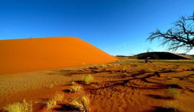 Unglück in Namibia: Nach Flugzeugabsturz: Trauer um Familie aus Bad Rappenau