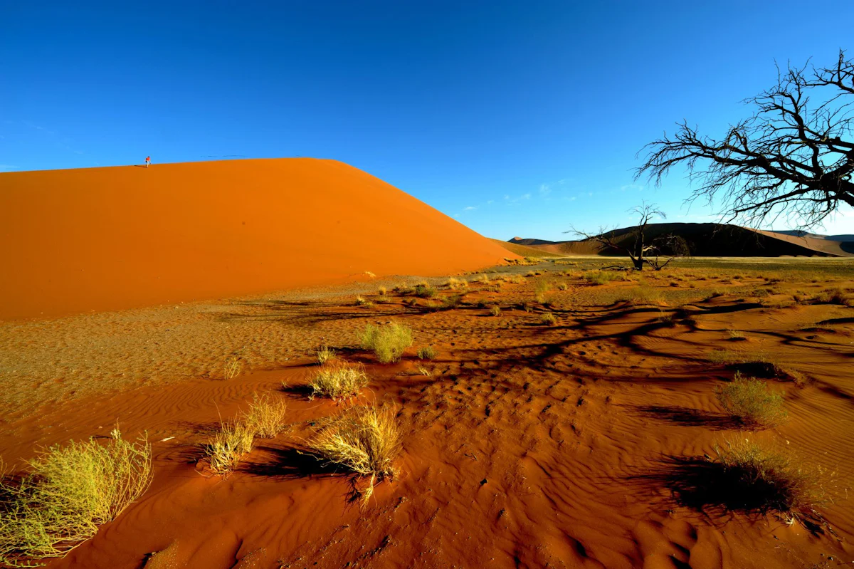 Vier tote Deutsche - Flugzeugabsturz in Namibia: Vierte Leiche gefunden - Wirtschaft