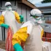 WHO ruft wegen Ebola-Ausbruchs internationale Gesundheitsnotlage aus