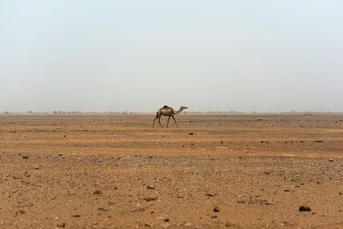 Agadez | 49 Menschen verdursten nach Lkw-Panne im Niger