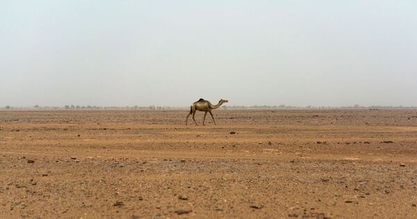 49 Menschen verdursten nach Lkw-Panne im Niger