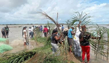 Landwirtschaft – Senegal: Dörfer in der Casamance kämpfen ums Überleben