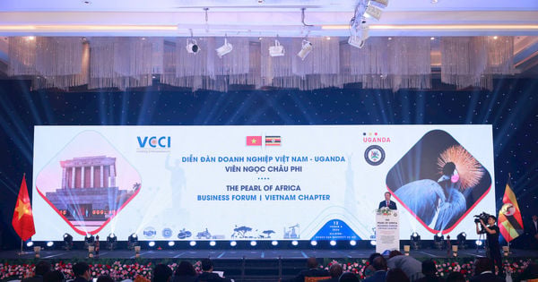 Vietnam.vn - Nền tảng quảng bá Việt Nam