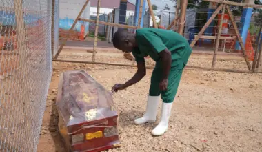 Ebola im Kongo - Ebola in weiterer Provinz im Kongo festgestellt - Gesundheit