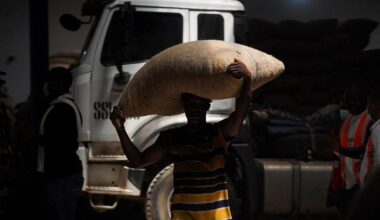 Nigeria: Multi-Krise im Nordosten - Vatican News