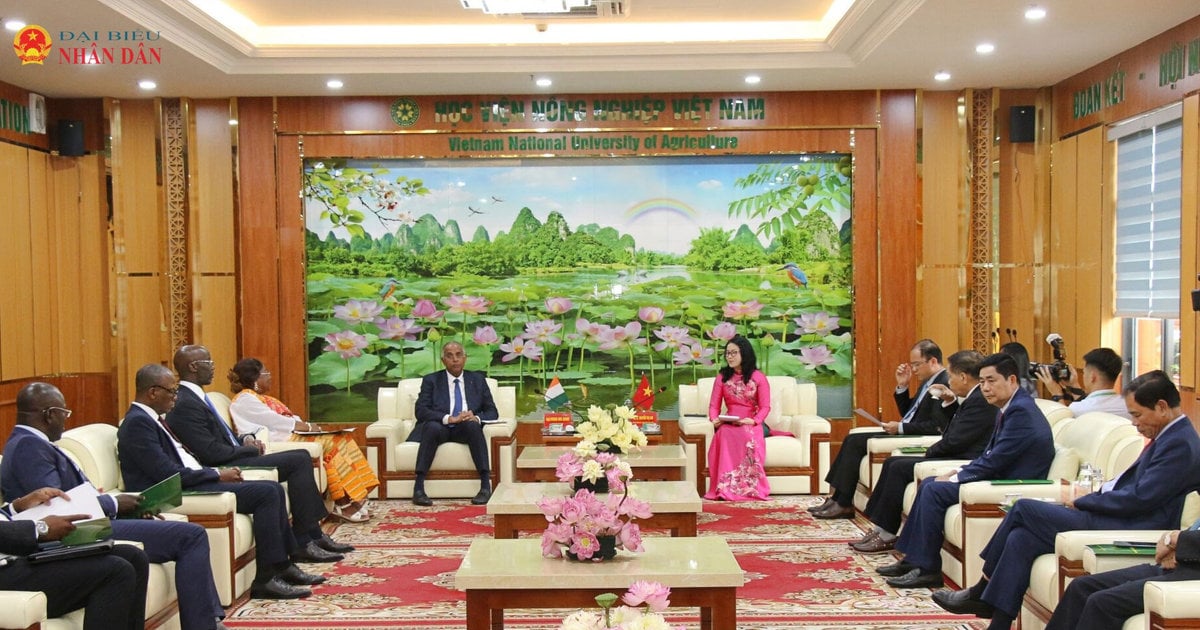 Vietnam.vn - Nền tảng quảng bá Việt Nam