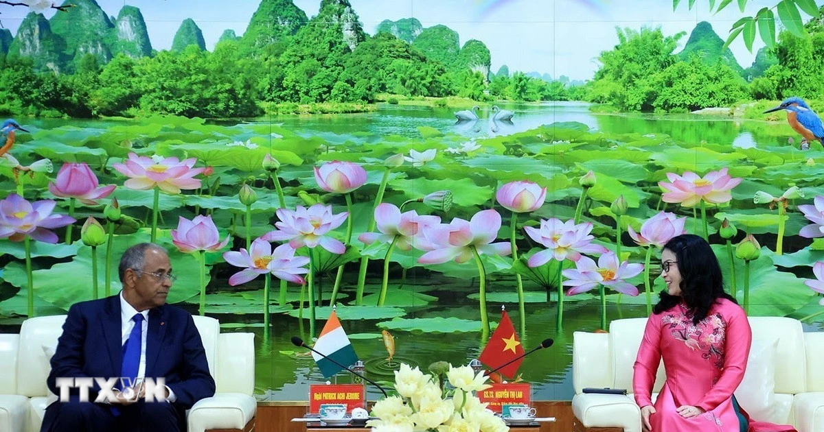 Vietnam.vn - Nền tảng quảng bá Việt Nam