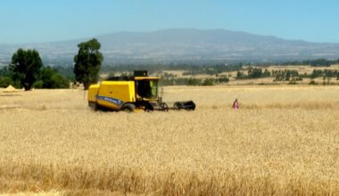 La transformation rurale en Éthiopie face aux migrations liées au climat