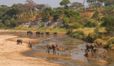 Du Kilimandjaro aux plaines du Serengeti, les 8 bonnes raisons de visiter la Tanzanie