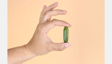 Popits, le concombre snack, fait ses débuts en Europe à Fruit Logistica