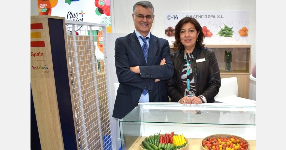 « La faiblesse de l'offre de légumes en Espagne et au Maroc se poursuivra en février et mars »