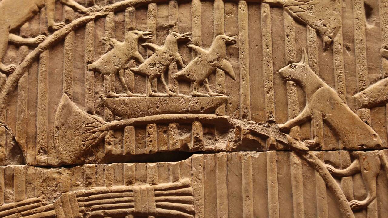 Dans le sillage des Romains, les matous sont arrivés en Europe il y a 2000 ans, en provenance d’Afrique du Nord