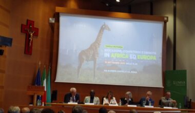 L'éducation, un pont entre l'Europe et l'Afrique