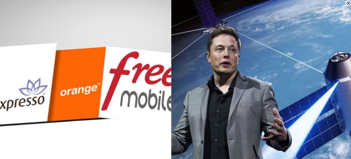 ywAAAAAAQABAAACAUwAOw== - Senenews - Actualité au Sénégal, Politique, Économie, Sport