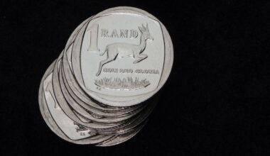 Le rand sud-africain poursuit sa progression avant la publication de l'indice PMI d'activité économique