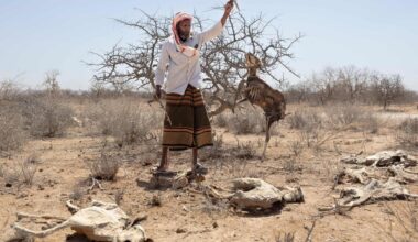 «Nos enfants seront les prochains à mourir»: au Kenya la sécheresse fait des ravages