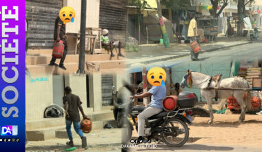 Pénurie de gaz à Saint-Louis : les populations dans la tourmente, interpellent le gouvernement