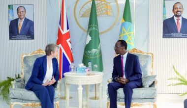 Migrants : Londres presse Addis-Abeba de muscler la lutte contre l'émigration clandestine