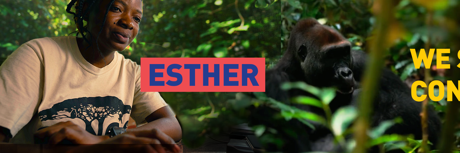 Campagne EU-Afrique | EEAS