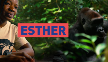 Campagne EU-Afrique | EEAS