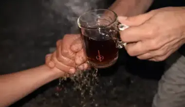 Egypte : Le mufti intervient pour interdire un challenge viral sur Tik Tok