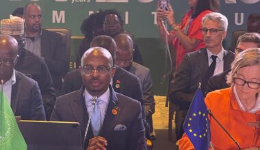 Diplomatie 2e génération. Pays européens sans passé colonial: ces nouveaux courtisans de l’Afrique