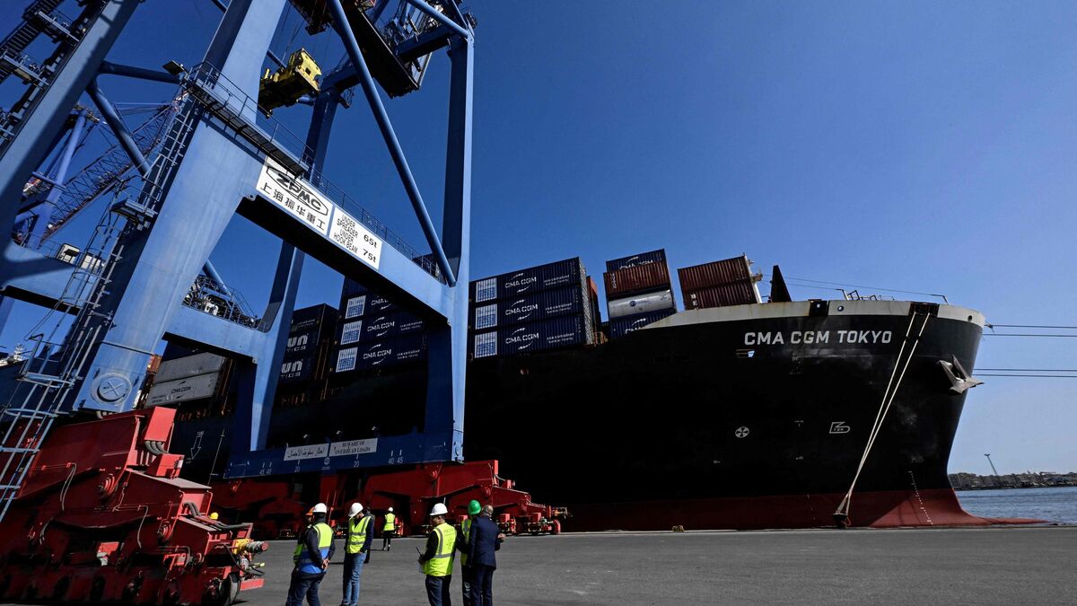 Gaza : une livraison de 400 tonnes d’aide alimentaire française destinée aux enfants palestiniens est arrivée en Égypte