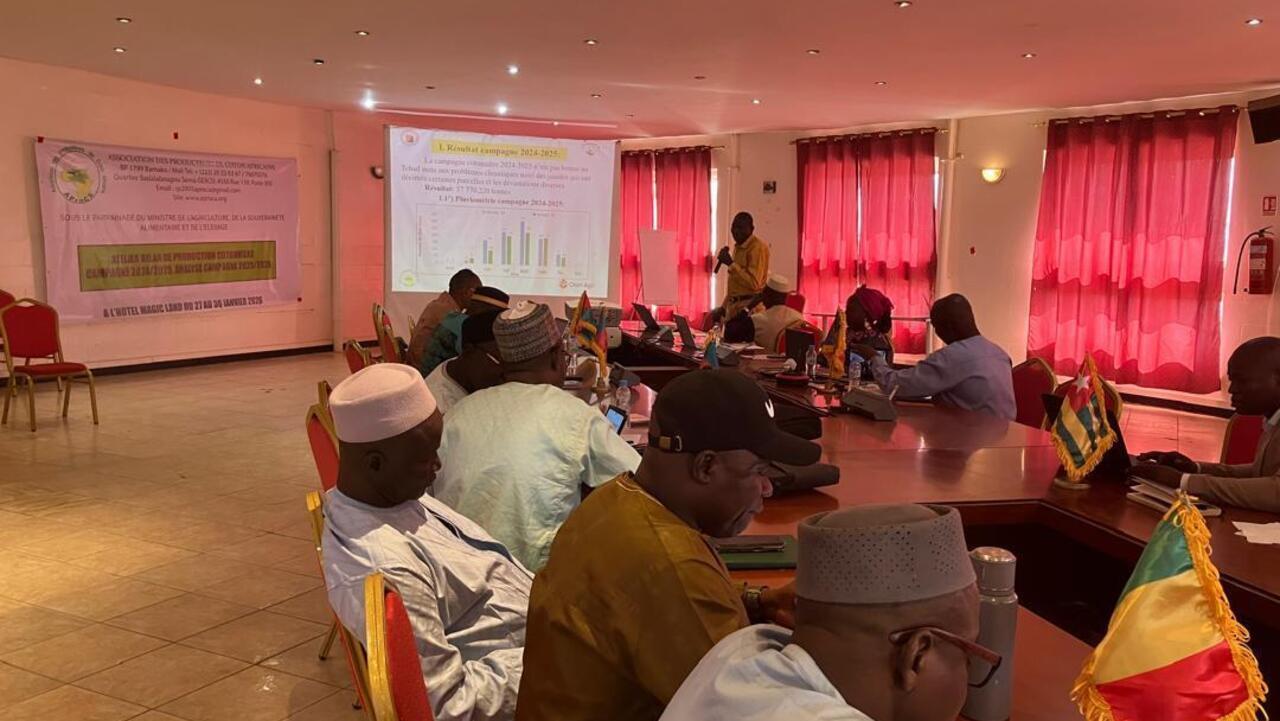 Les cotonculteurs africains réclament des subventions pour les pesticides - Afrique économie