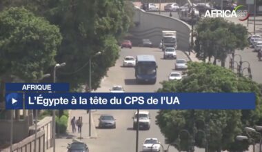 Afrique : l'Égypte préside le Conseil de paix et de sécurité de l’UA